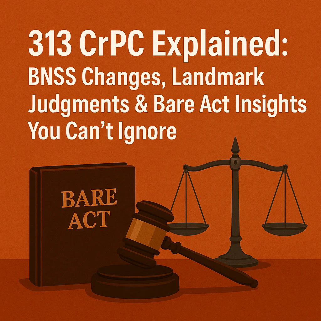313 crpc explained